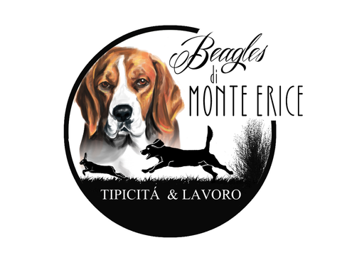 Beagles di Monte Erice